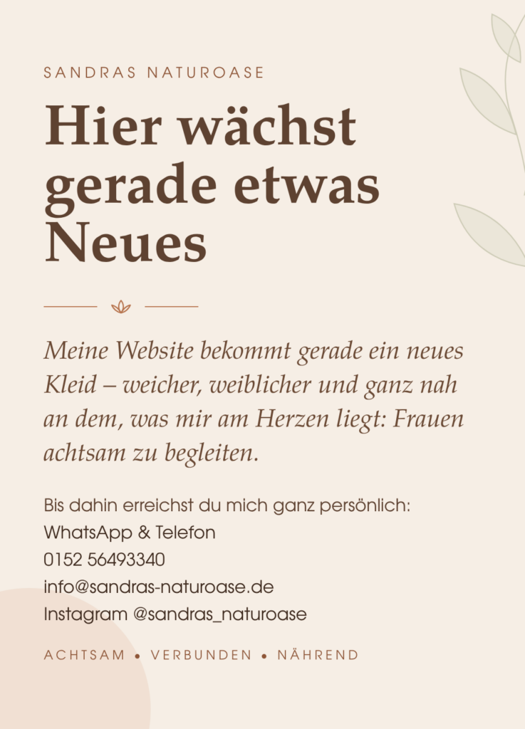 Website-im-Wandel-Handy